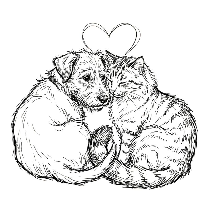 Amis mignons (Chat + Chien)