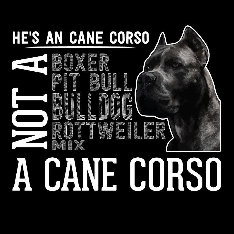 Cane Corso