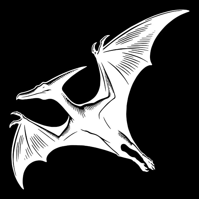 Flying Dino Pteranodon Pterosaur Dinosaur