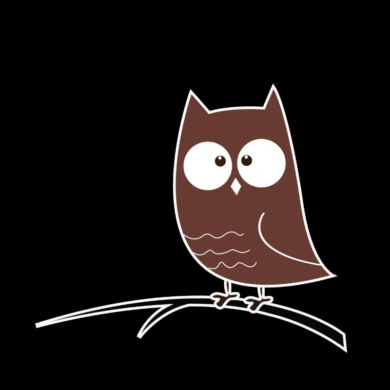 Schielende Eule Geschenk Idee