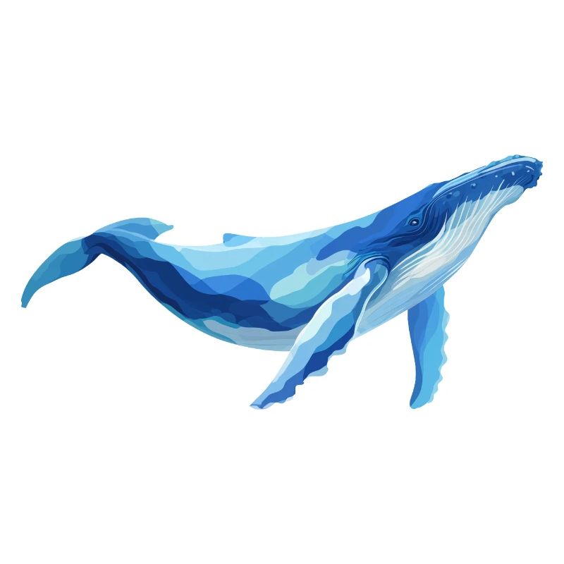 walvis