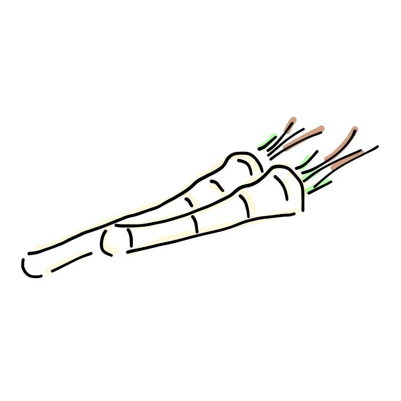 Meerrettich