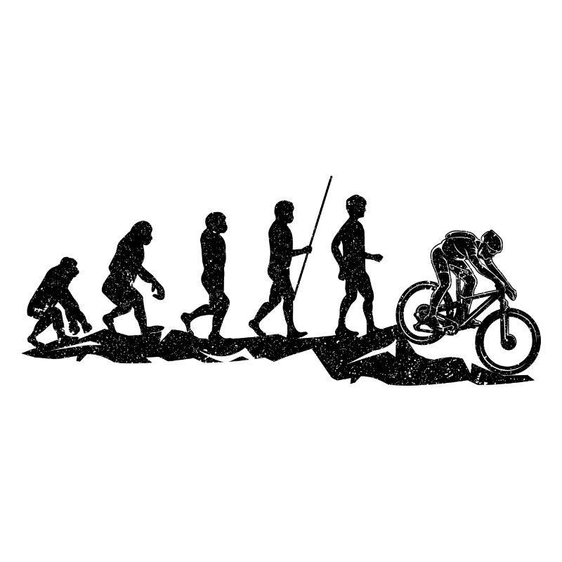 Vélo de montagne Evolution