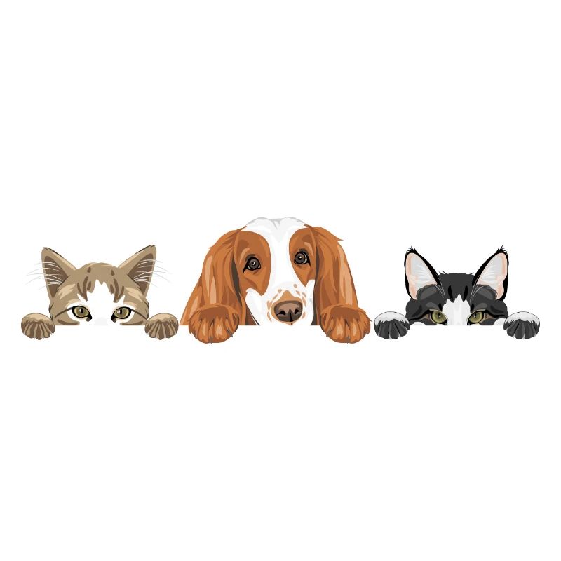 Cocker Spaniel chien et deux chats mignons