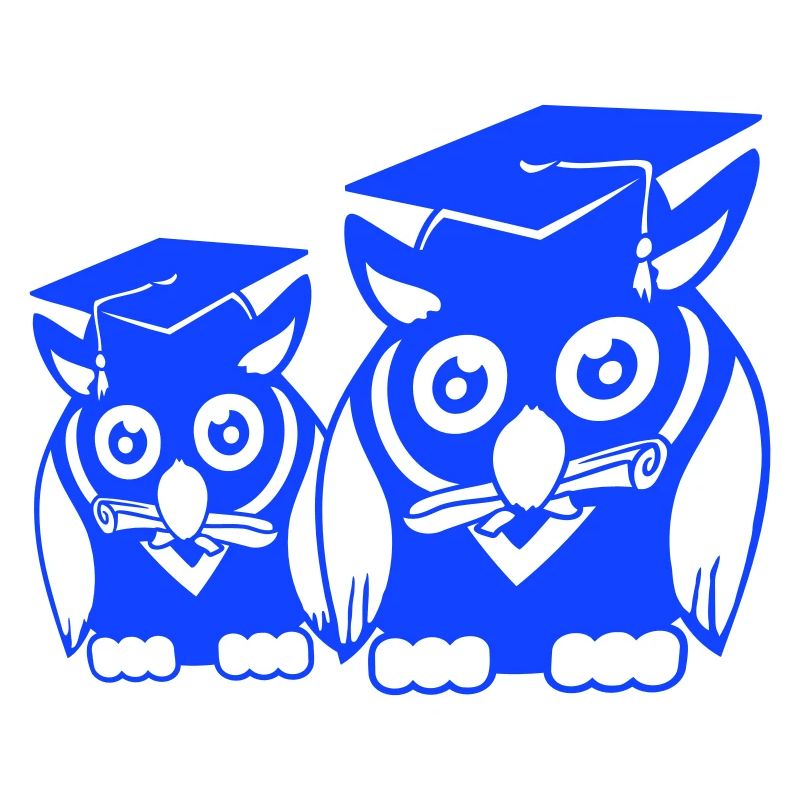 2 Eulen Schulabschluss College Abitur Student Team
