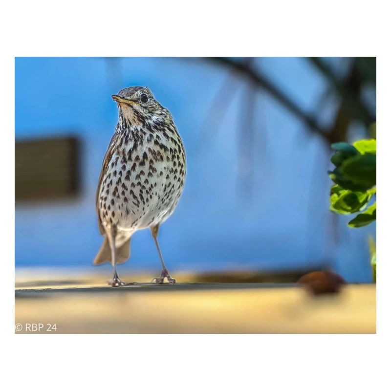 3C6DAC94 2483 48C8 B3C0 C91D9BD6FBB1