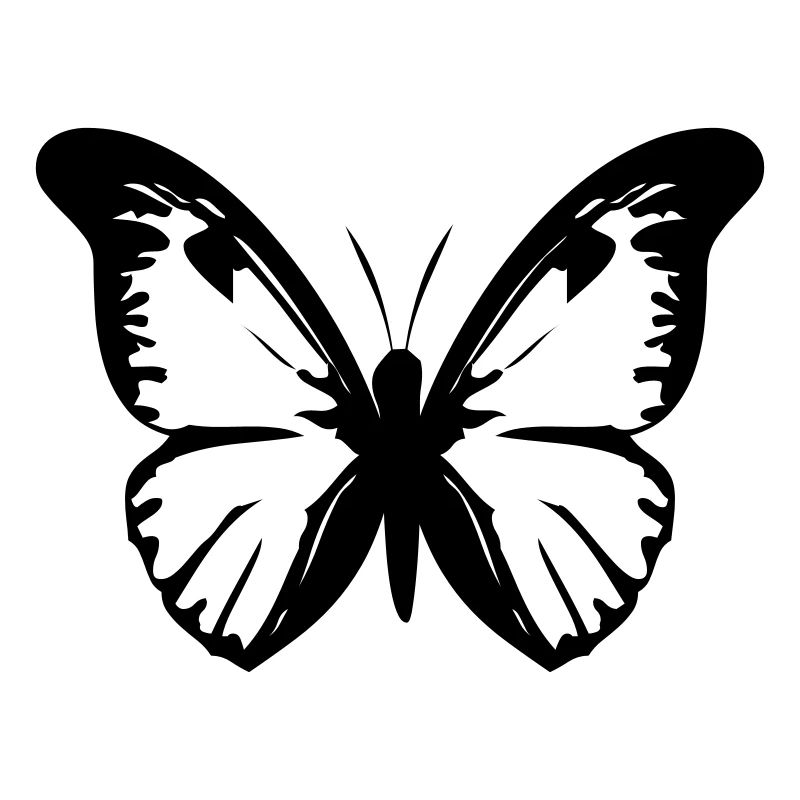 Schmetterling