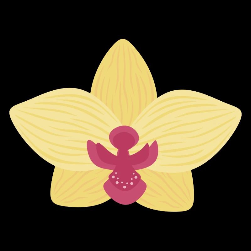 Orchidée jaune
