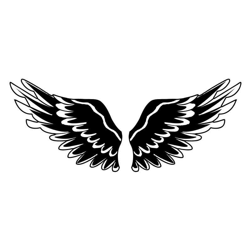 Ailes noir de