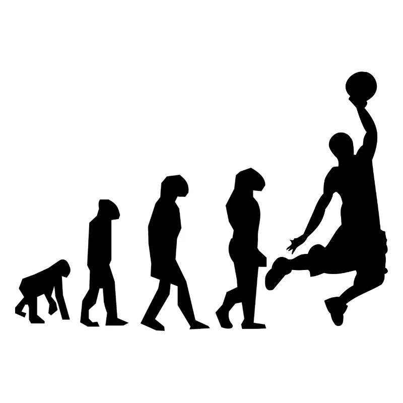 évolution basket