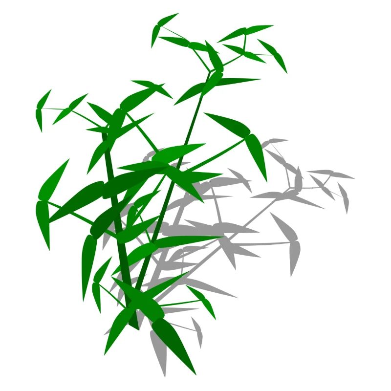 Bamboo with shadow