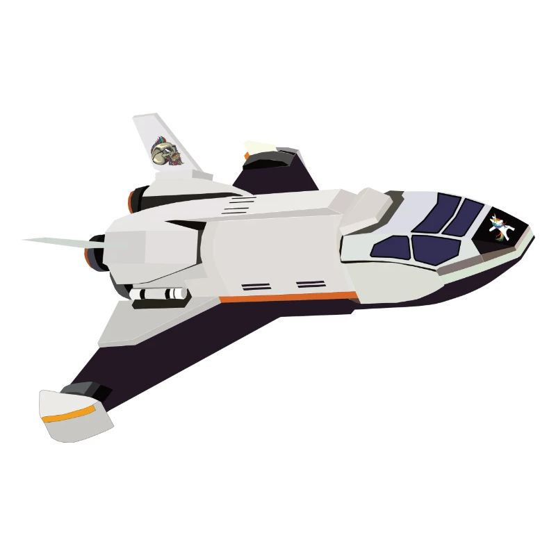Space Shuttle Flug