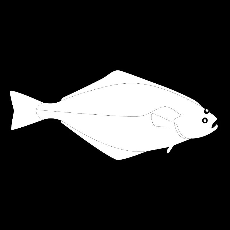 Heilbutt Vollformat weiß