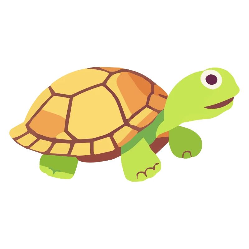 turtle small cute baby