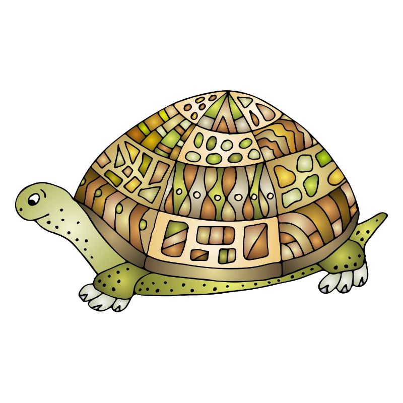 Tortoise