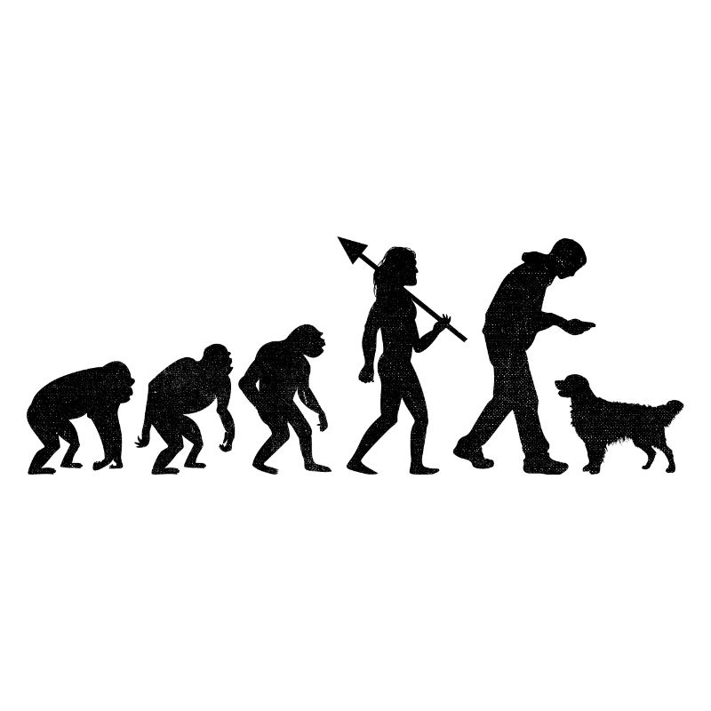 Evolution Golden Retriever GR Dog Retrievers