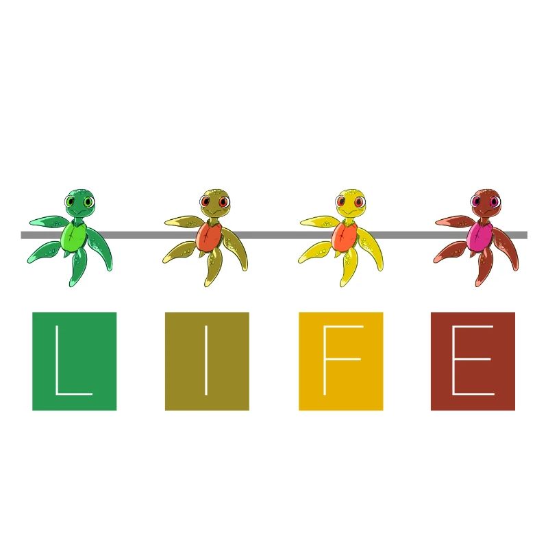 Turtle - Tortues, Life