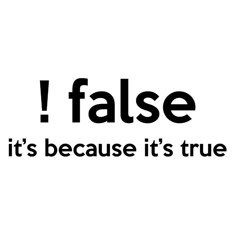 False It's Funny Because It's True Programmer Comp