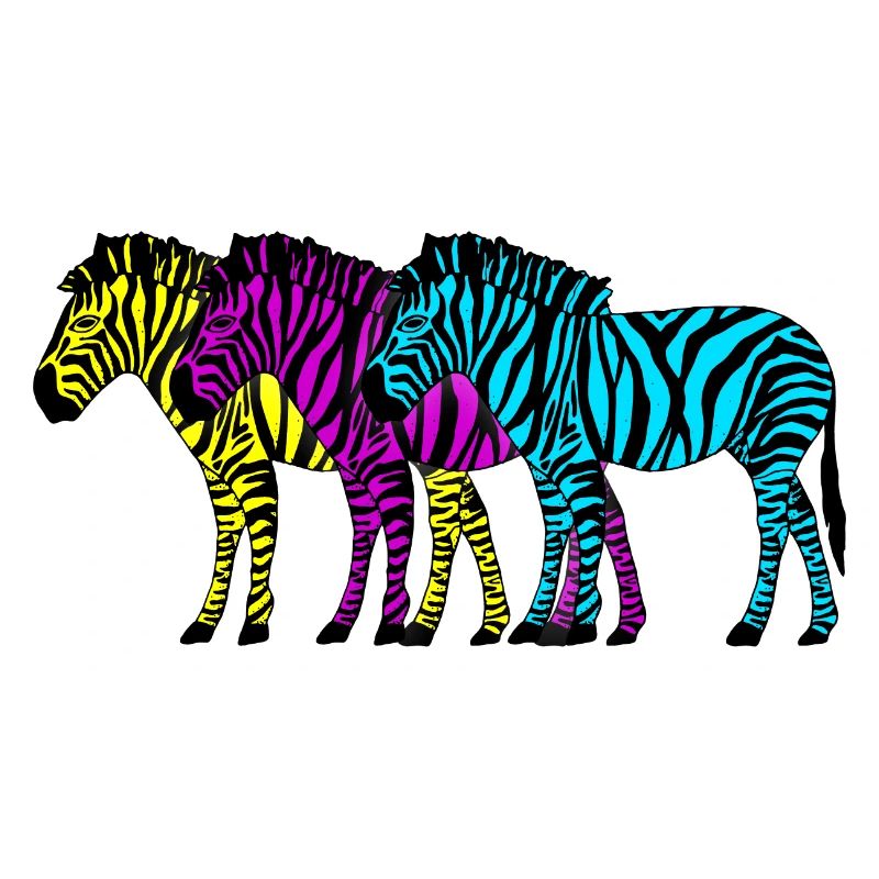 Zebras