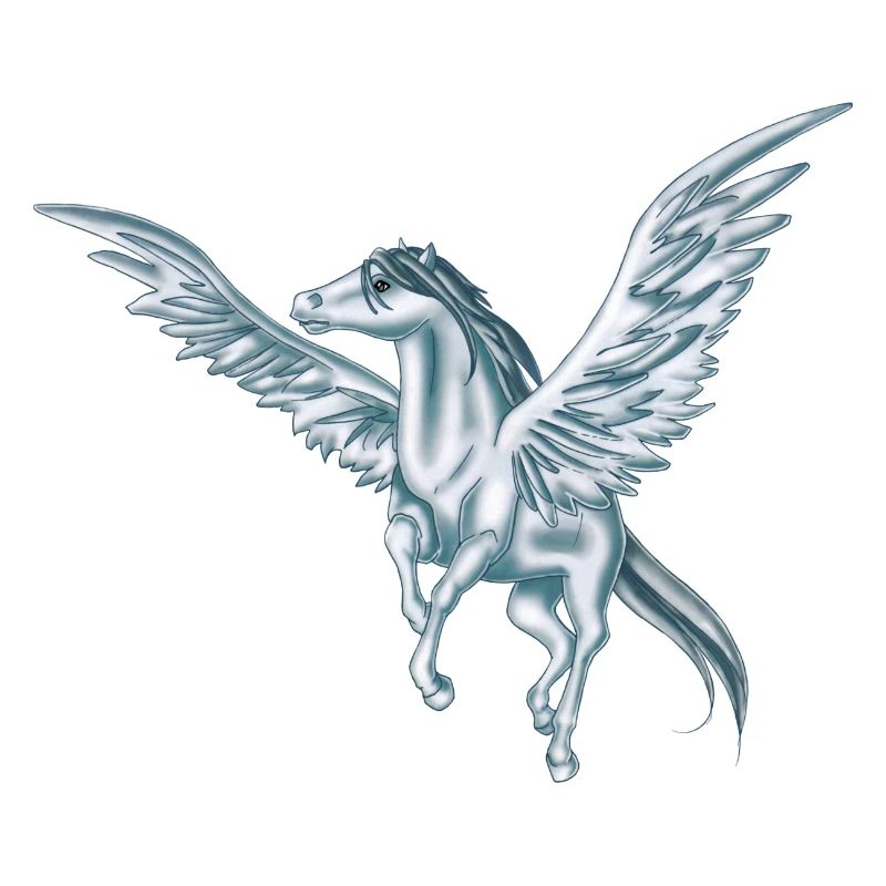Flying Pegasus