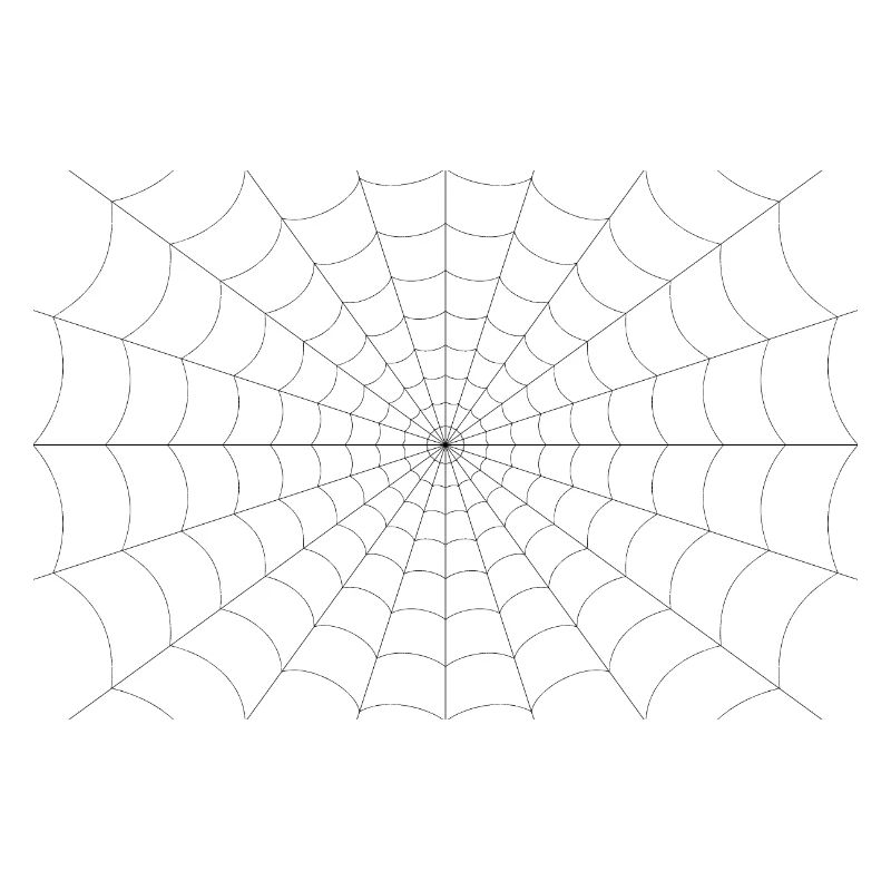 Spider web