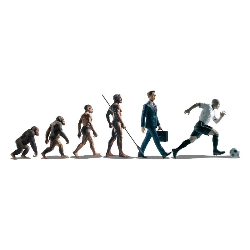 Evolution Fussball Zeichenfläche 1
