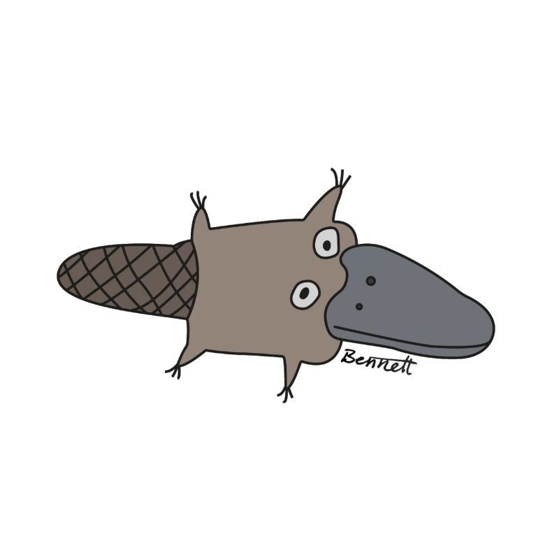 ornithorynque 1