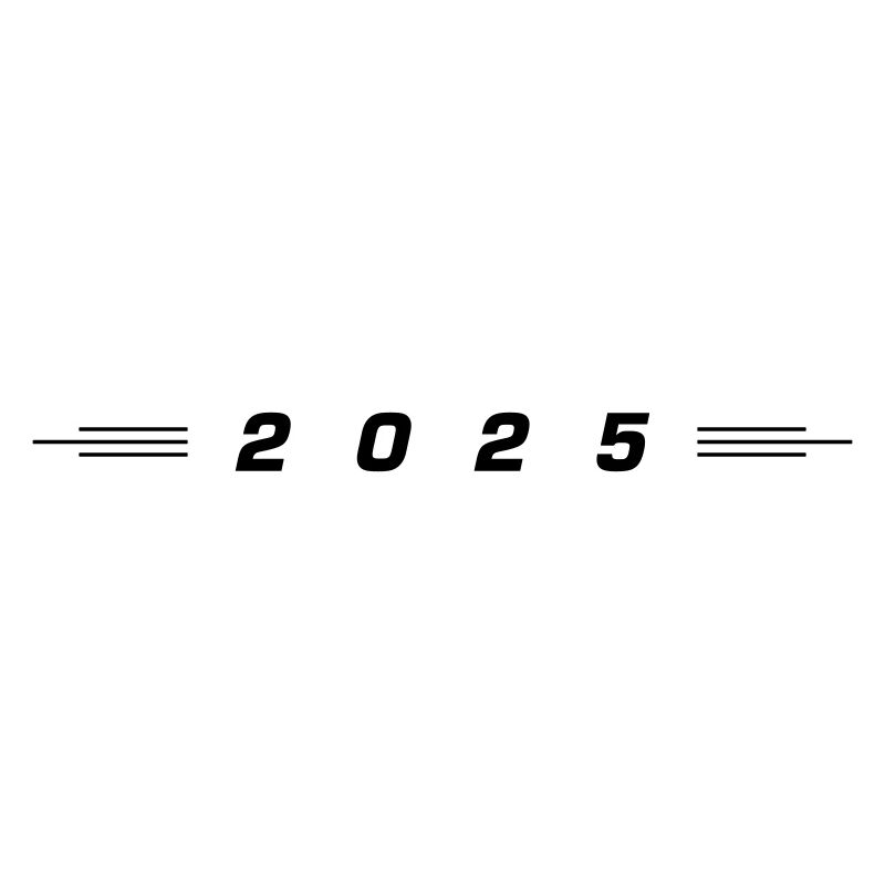 2025 year
