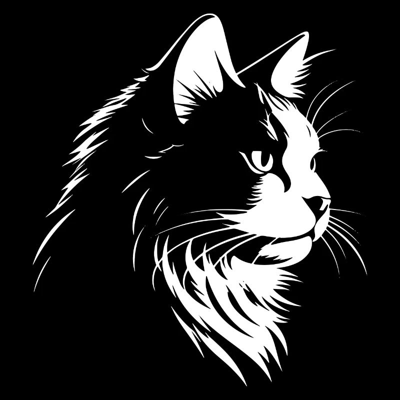 Chat, Motif De Chat