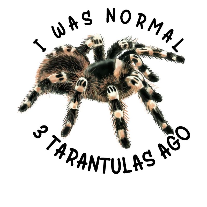Tarantule Papa Tarentule Tarentule de collection