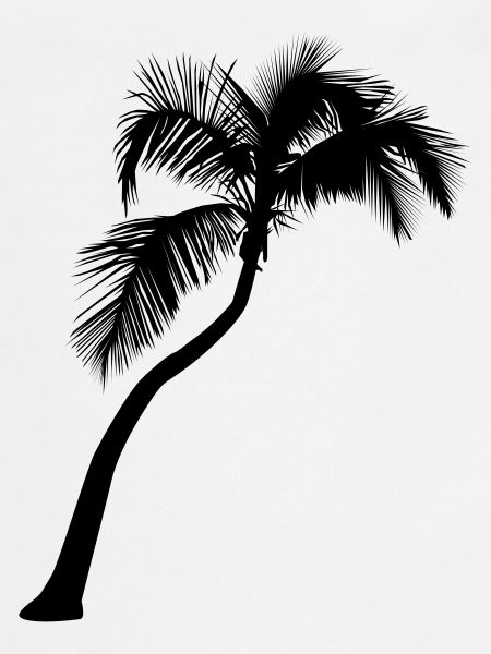Palme
