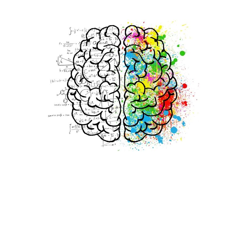 Creative or logich in the brain