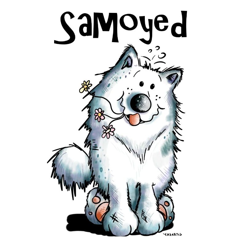 Funny Samoyed
