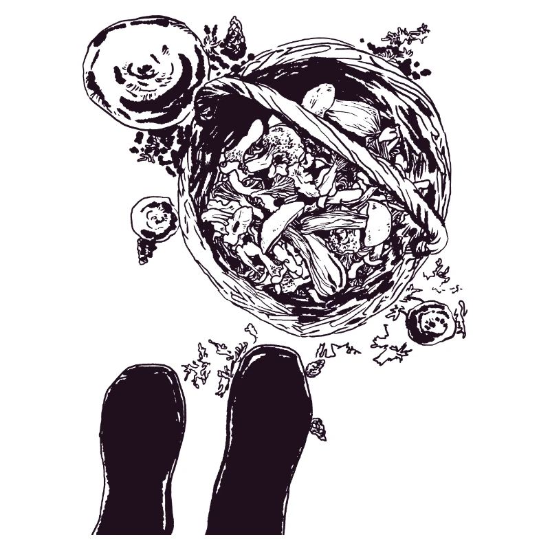 SUR LA FORÊT DE CHAMPIGNONS
