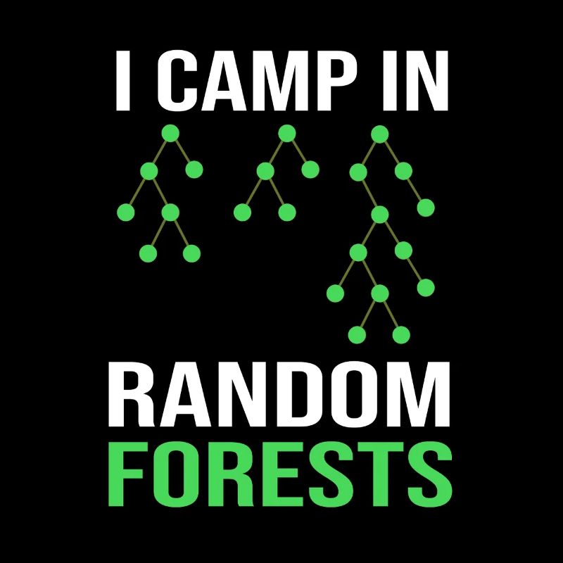 Programmeur Codeur GPT