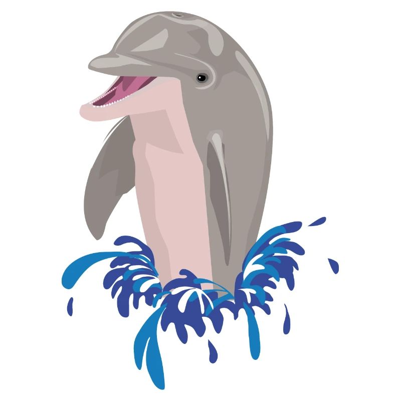 Éclaboussures de plage de mer de dauphin