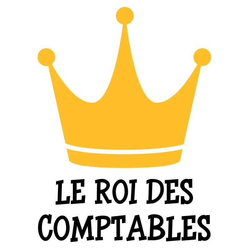 Accountant / Accounting / Comptable / Comptabilité