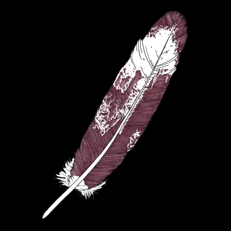 Grande plume brun-blanc dessinée à la main (aigle à queue blanche)