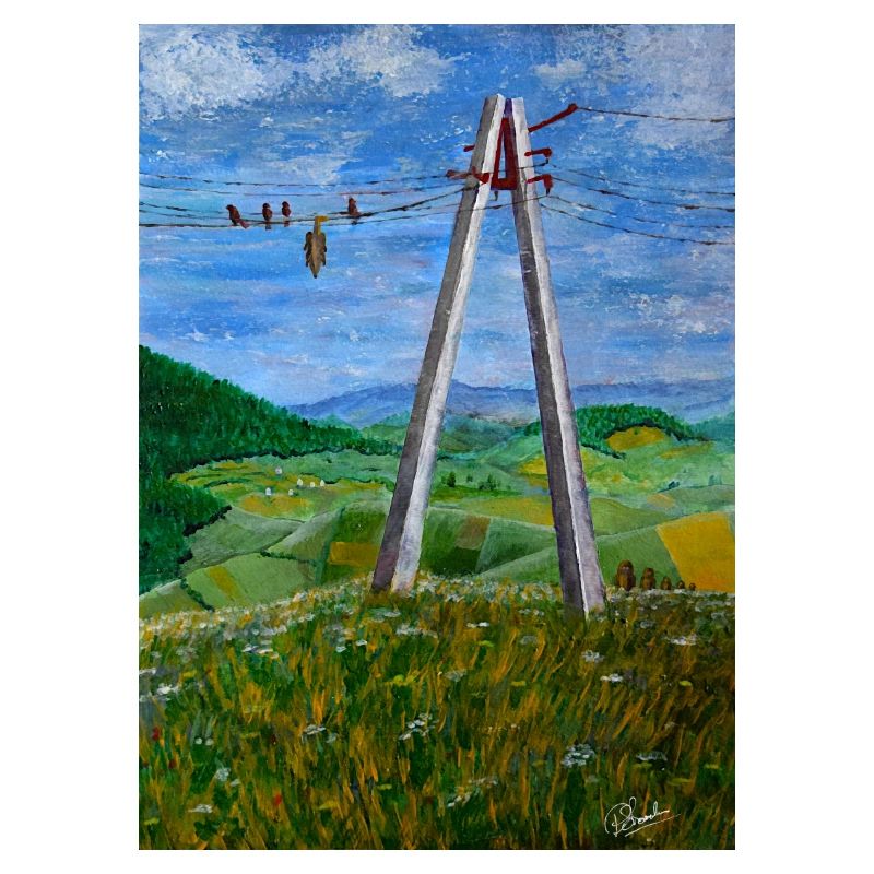 Reflections on Rural Power Lines