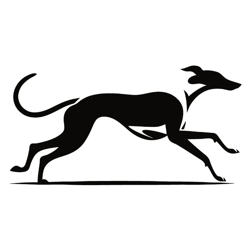 Design élégant de lévrier