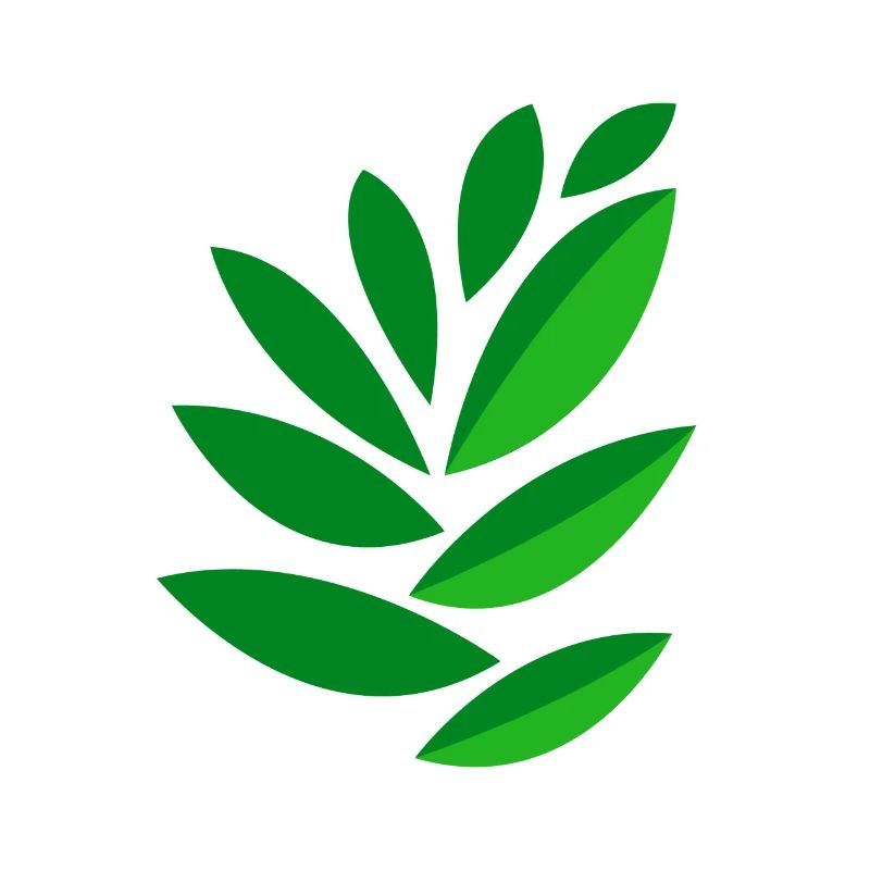 drawing leaves