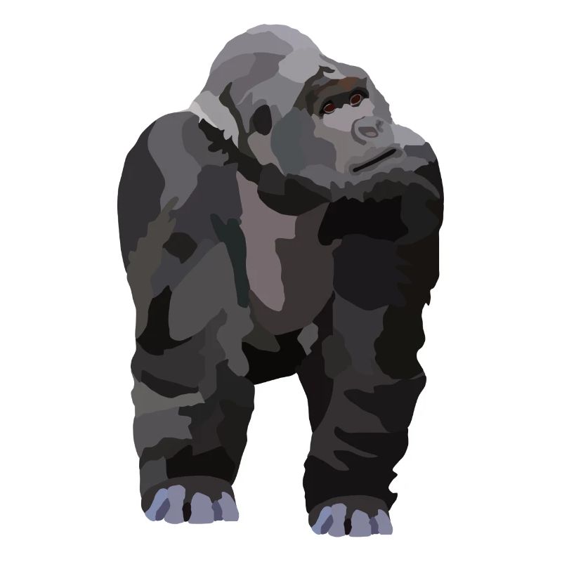 Gio, der Gorilla
