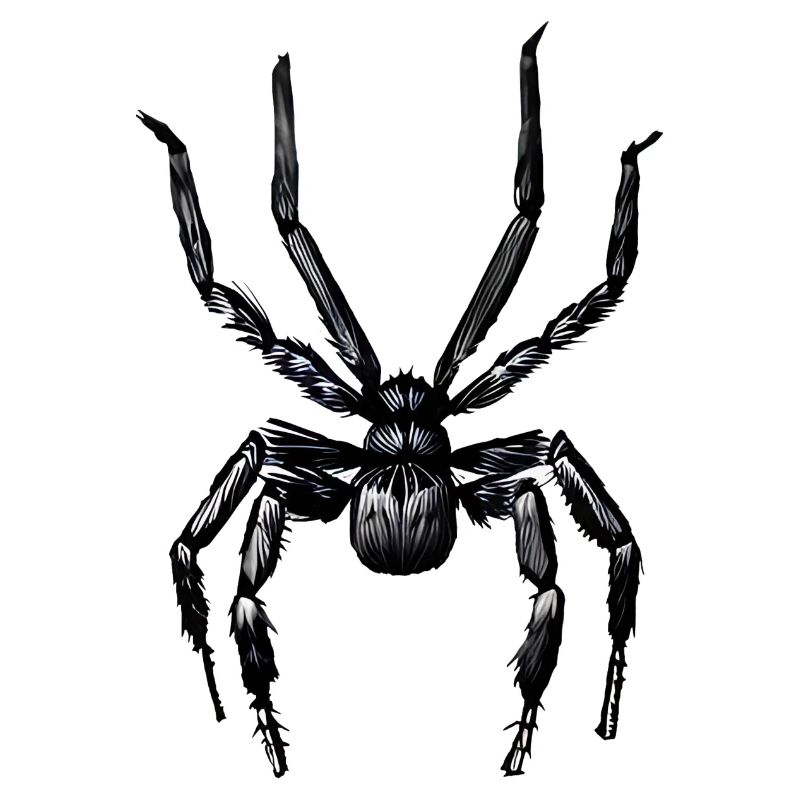 Spinne