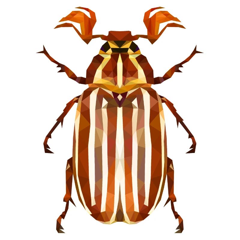 Coléoptère de la pastèque