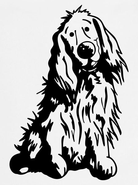 Mignon Cocker Spaniel Anglais