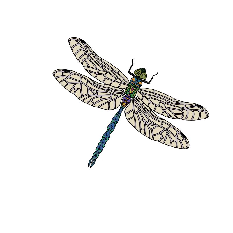 Libellule