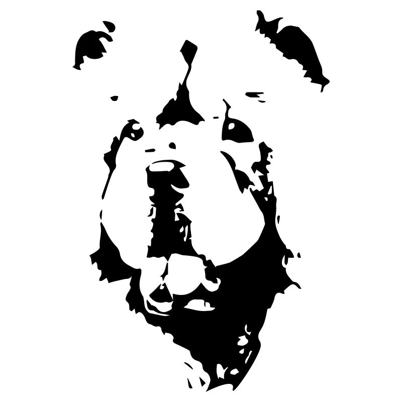 chow chow