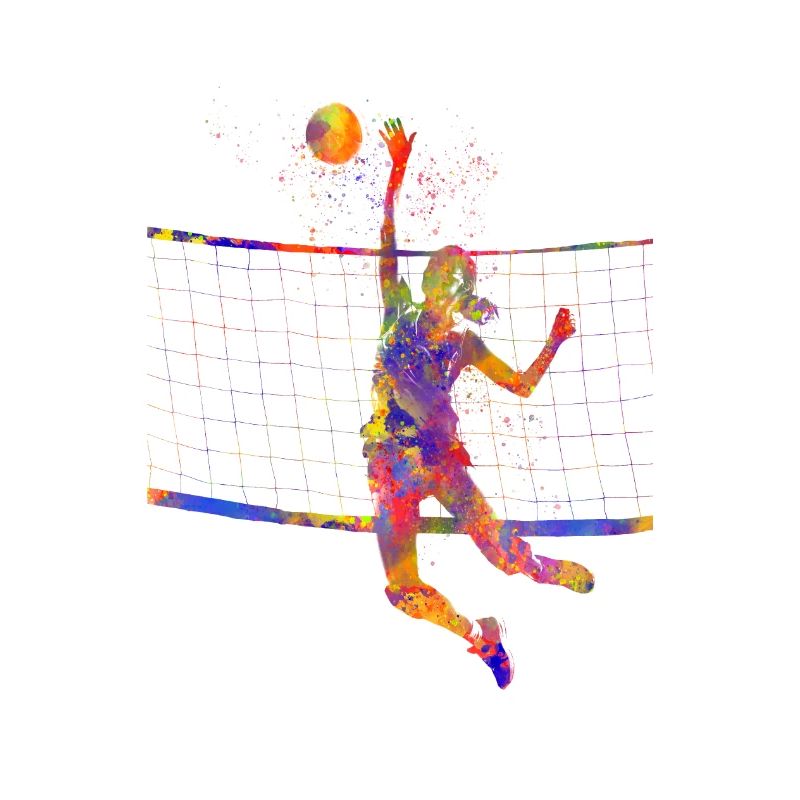Volleyball player