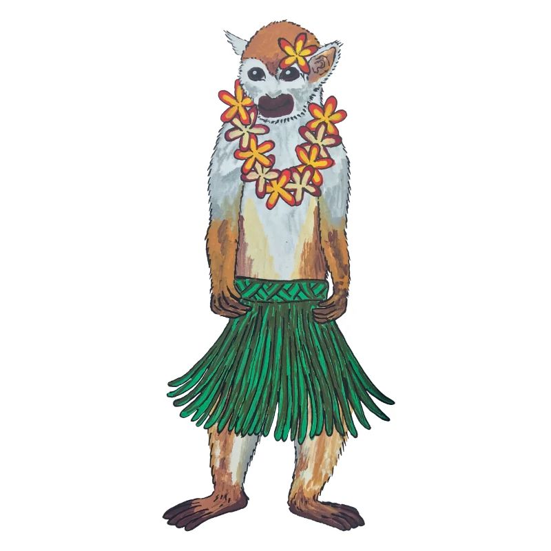 Écureuil Singe Singe Hawaii Hula Monkey Hula Hoola