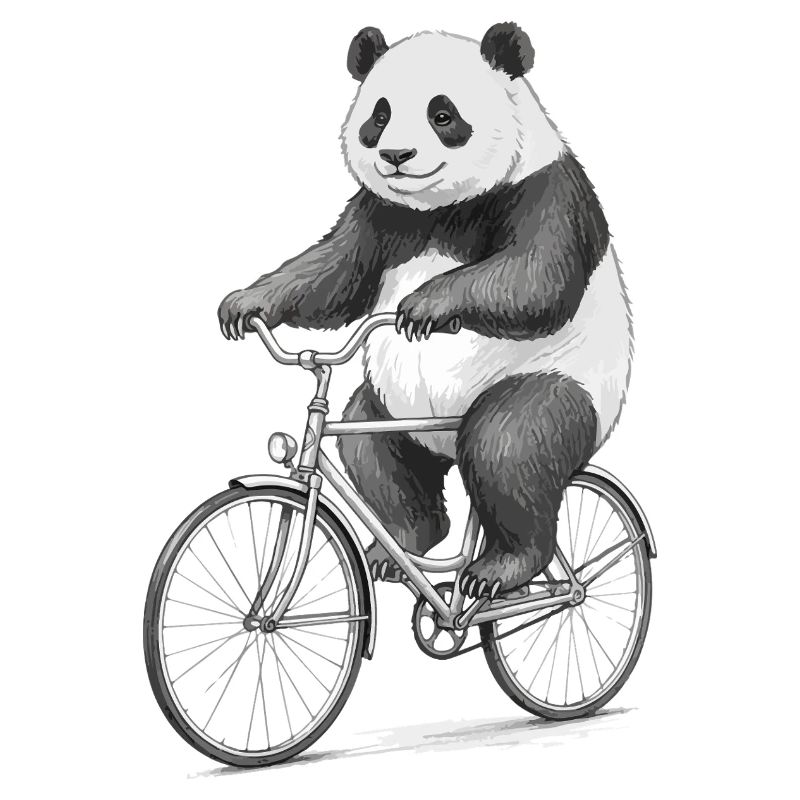 Panda on Bicycle